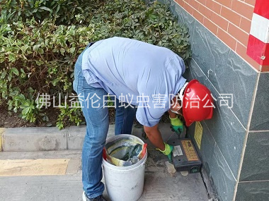 松岗安装灭鼠器工程