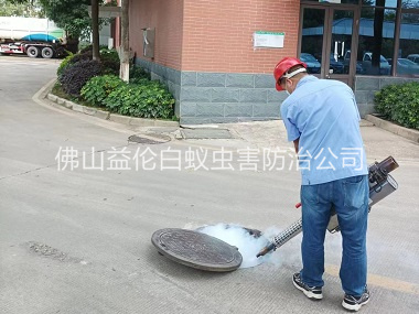 里水杀蟑螂蚊蝇工程